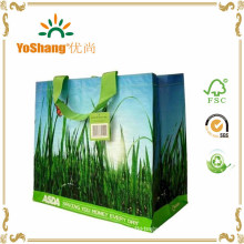Free Sample Laminated PP Woven Cheap Promotion Shopping Bag